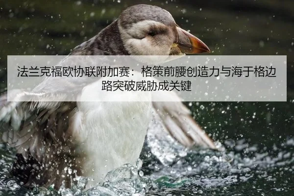 fa-lan-ke-fu-ou-xie-lian-fu-jia-sai-ge-ce-qian-yao-chuang-zao-li-yu-hai-yu-ge-bian-lu-tu-po-wei-xie-cheng-guan-jian-3-455.jpg