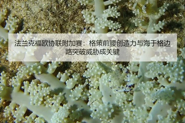 法兰克福欧协联附加赛：格策前腰创造力与海于格边路突破威胁成关键
